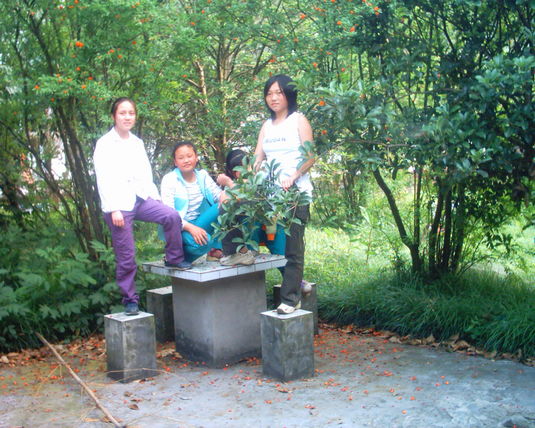 2006  (91)